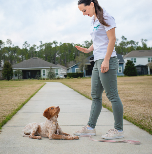 janine training dog